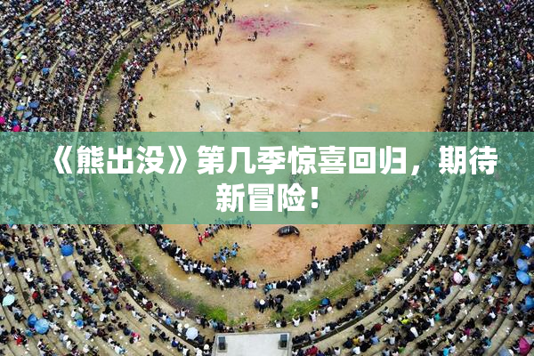 《熊出没》第几季惊喜回归，期待新冒险！