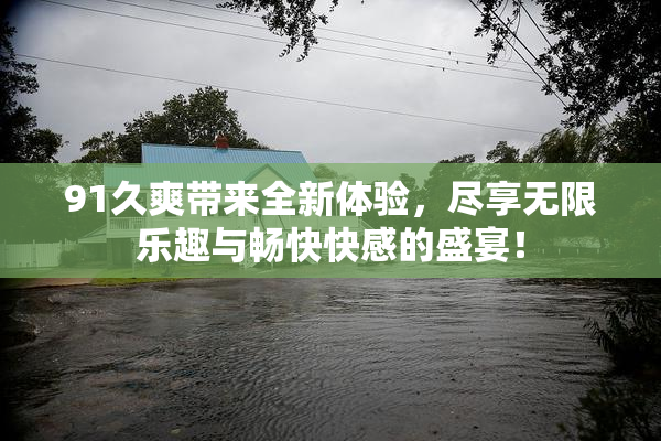 91久爽带来全新体验，尽享无限乐趣与畅快快感的盛宴！