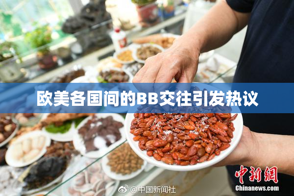 欧美各国间的BB交往引发热议