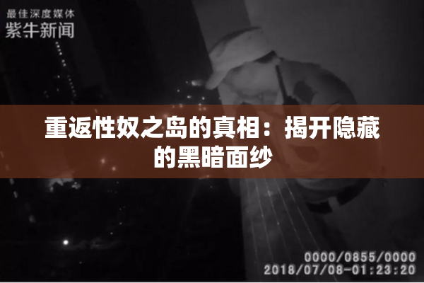 重返性奴之岛的真相：揭开隐藏的黑暗面纱