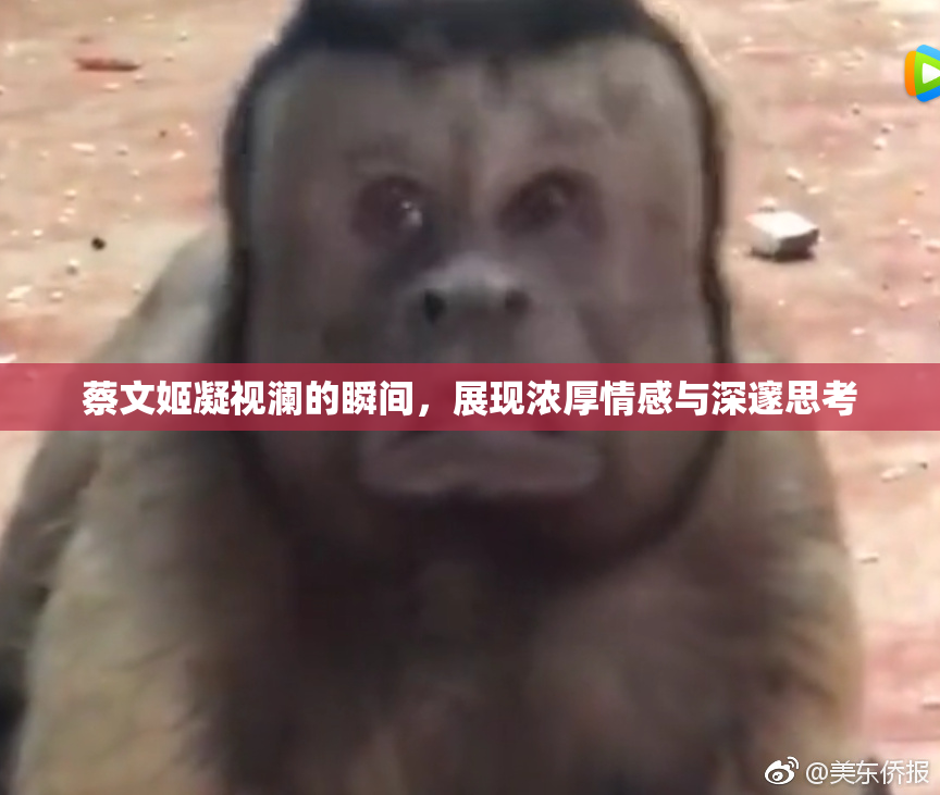 蔡文姬凝视澜的瞬间，展现浓厚情感与深邃思考