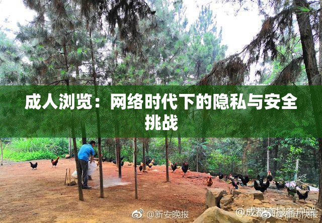 成人浏览：网络时代下的隐私与安全挑战