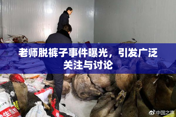 老师脱裤子事件曝光，引发广泛关注与讨论