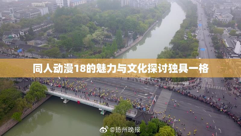 同人动漫18的魅力与文化探讨独具一格