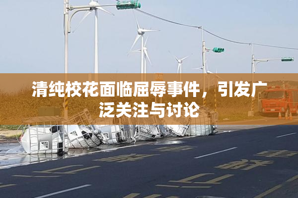 清纯校花面临屈辱事件，引发广泛关注与讨论