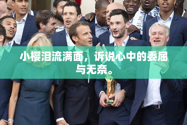 小樱泪流满面，诉说心中的委屈与无奈。
