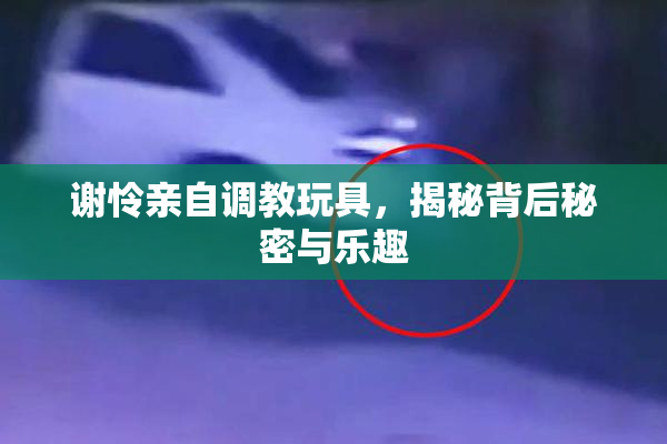 谢怜亲自调教玩具，揭秘背后秘密与乐趣