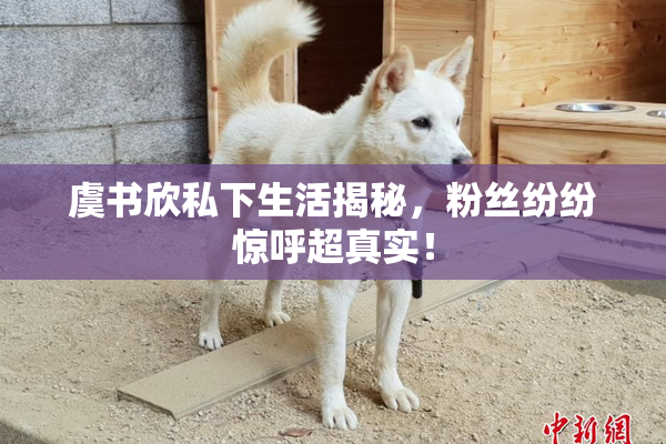 虞书欣私下生活揭秘，粉丝纷纷惊呼超真实！