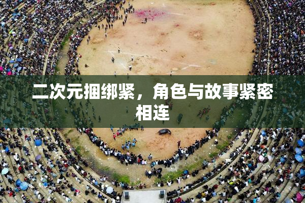 二次元捆绑紧，角色与故事紧密相连