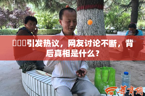 逹葢薾引发热议，网友讨论不断，背后真相是什么？