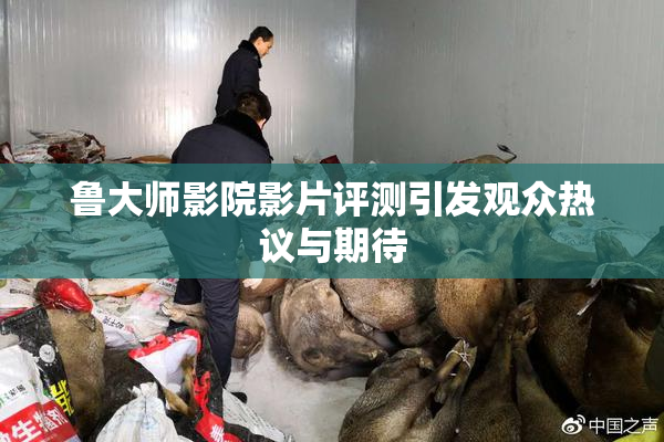 鲁大师影院影片评测引发观众热议与期待