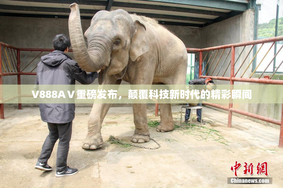 V888AⅤ重磅发布，颠覆科技新时代的精彩瞬间