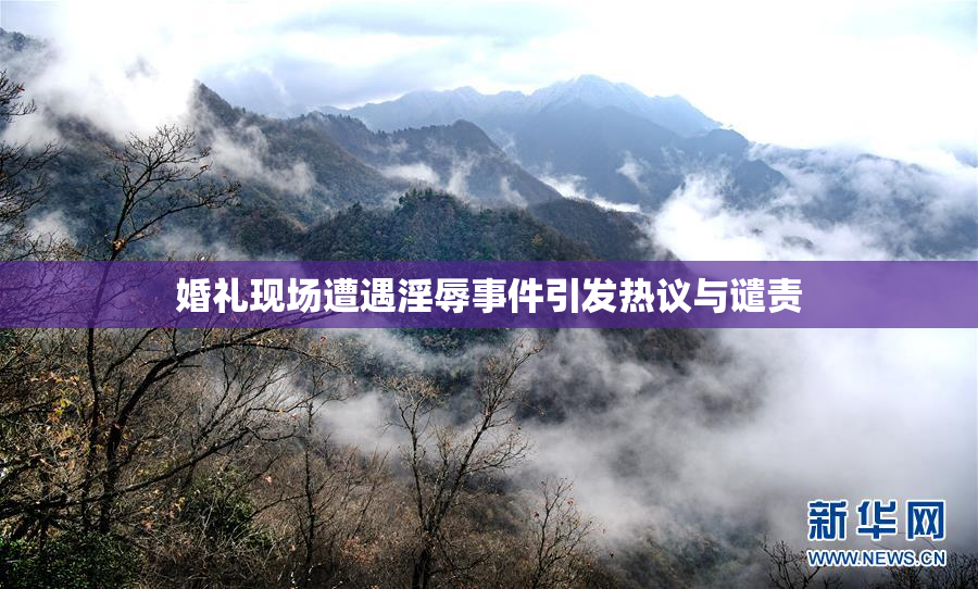 婚礼现场遭遇淫辱事件引发热议与谴责