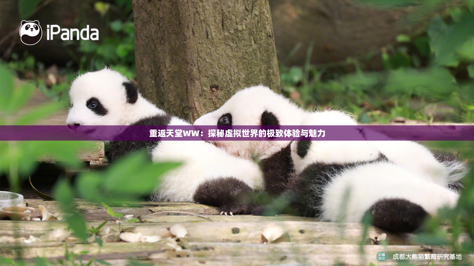 重返天堂WW：探秘虚拟世界的极致体验与魅力