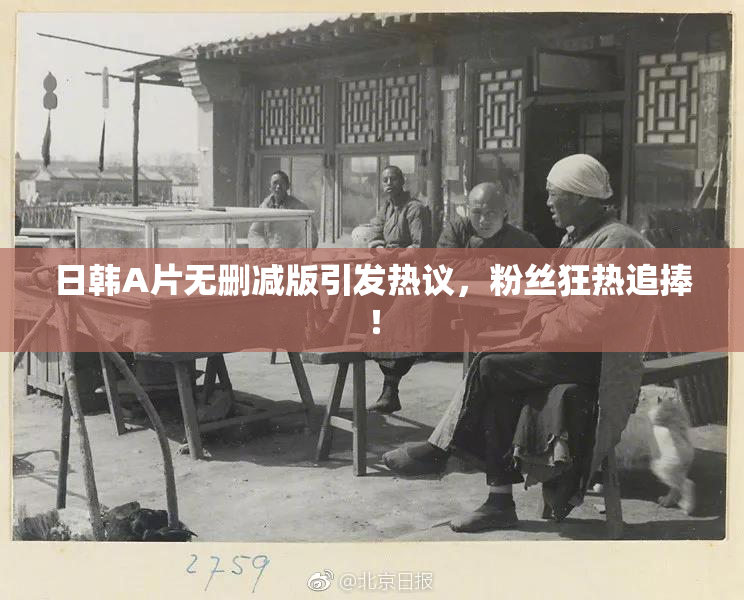 日韩A片无删减版引发热议，粉丝狂热追捧！