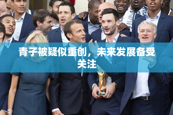 青子被疑似重创，未来发展备受关注