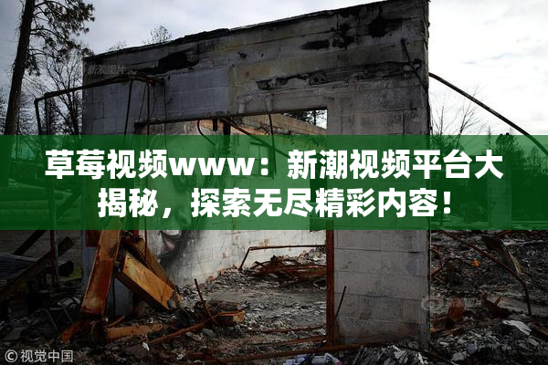 草莓视频www：新潮视频平台大揭秘，探索无尽精彩内容！
