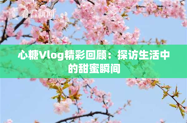 心糖Vlog精彩回顾：探访生活中的甜蜜瞬间