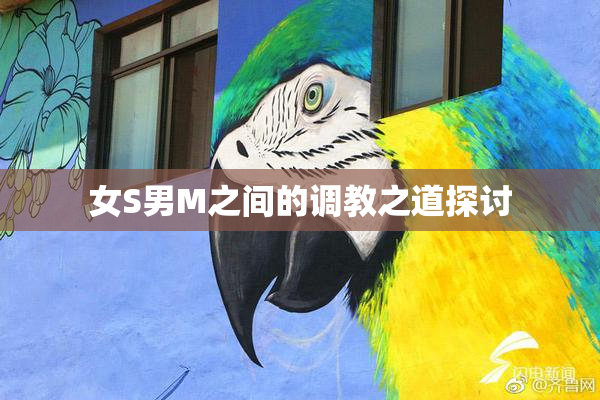 女S男M之间的调教之道探讨
