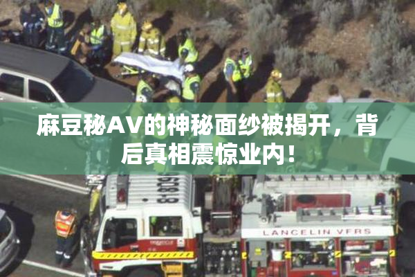 麻豆秘AV的神秘面纱被揭开，背后真相震惊业内！