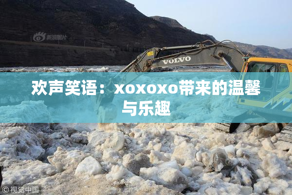 欢声笑语：xoxoxo带来的温馨与乐趣