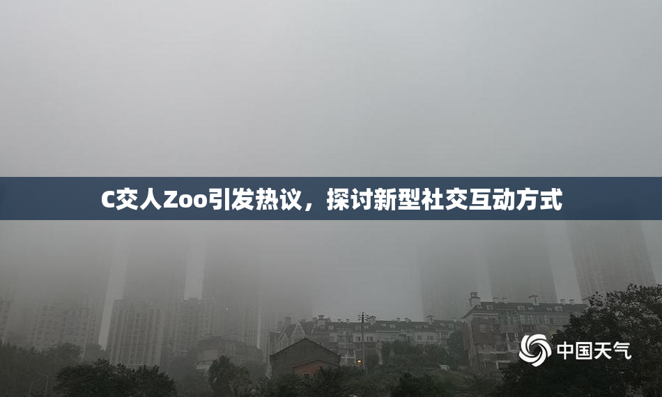 C交人Zoo引发热议，探讨新型社交互动方式