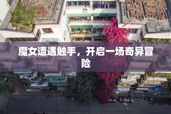 魔女遭遇触手，开启一场奇异冒险