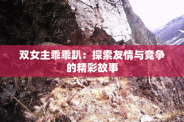 双女主乖乖趴：探索友情与竞争的精彩故事