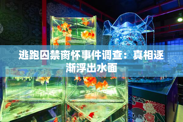 逃跑囚禁脔怀事件调查：真相逐渐浮出水面