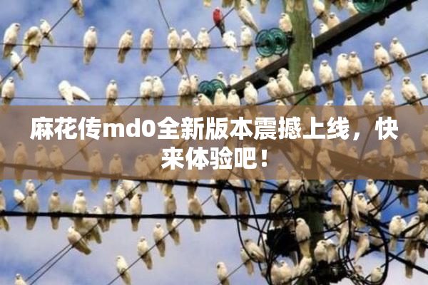 麻花传md0全新版本震撼上线，快来体验吧！