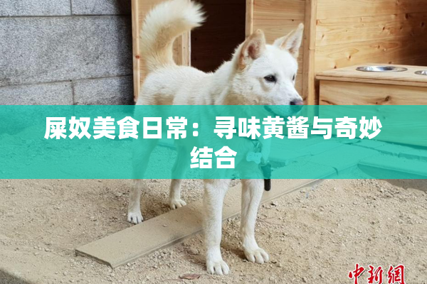 屎奴美食日常：寻味黄酱与奇妙结合
