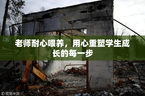 老师耐心喂养，用心重塑学生成长的每一步