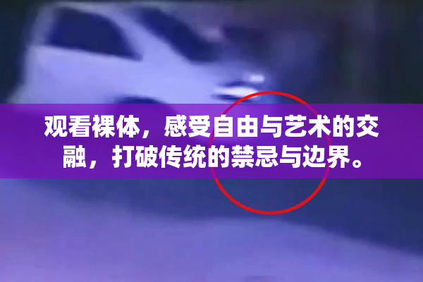 观看裸体，感受自由与艺术的交融，打破传统的禁忌与边界。