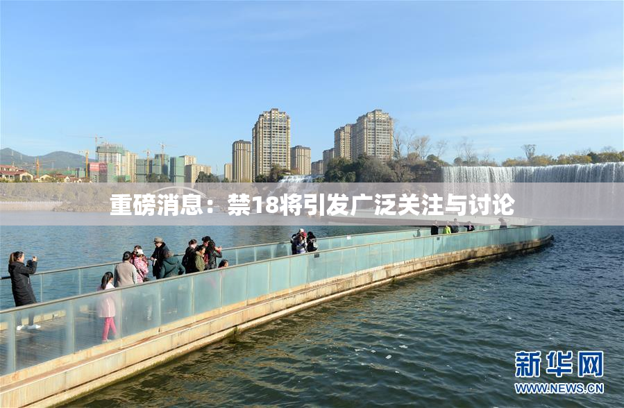 重磅消息：禁18将引发广泛关注与讨论