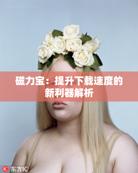 磁力宝：提升下载速度的新利器解析