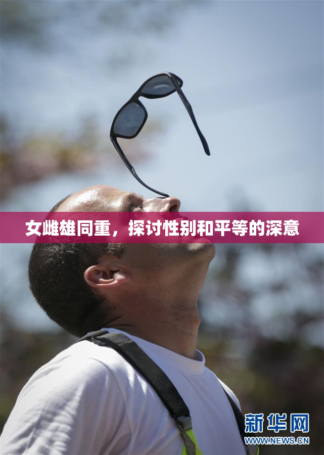 女雌雄同重，探讨性别和平等的深意
