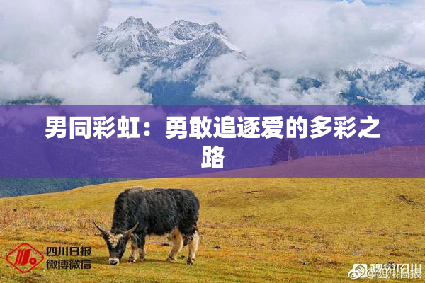 男同彩虹：勇敢追逐爱的多彩之路