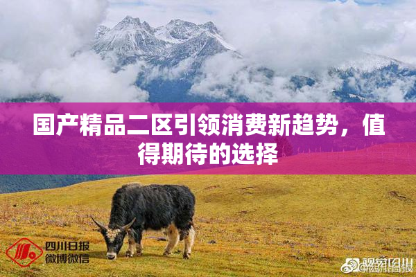 国产精品二区引领消费新趋势，值得期待的选择