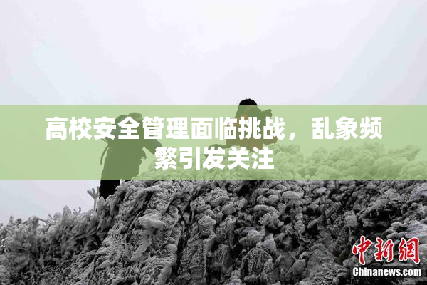高校安全管理面临挑战，乱象频繁引发关注