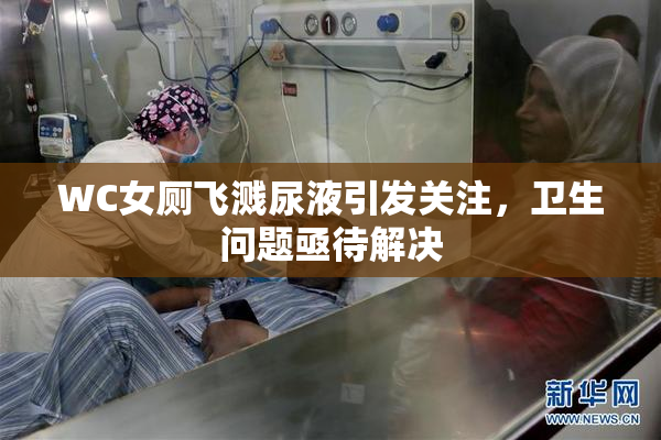 WC女厕飞溅尿液引发关注，卫生问题亟待解决