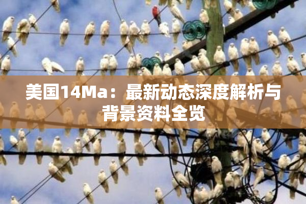 美国14Ma：最新动态深度解析与背景资料全览