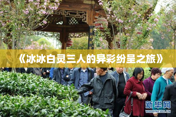 《冰冰白灵三人的异彩纷呈之旅》