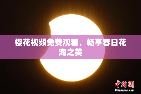 樱花视频免费观看，畅享春日花海之美