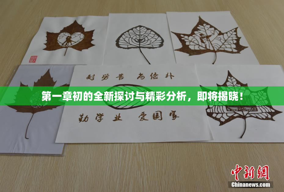 第一章初的全新探讨与精彩分析，即将揭晓！