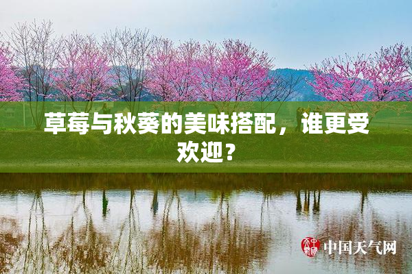 草莓与秋葵的美味搭配，谁更受欢迎？