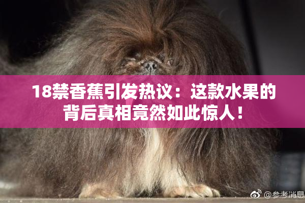 18禁香蕉引发热议：这款水果的背后真相竟然如此惊人！
