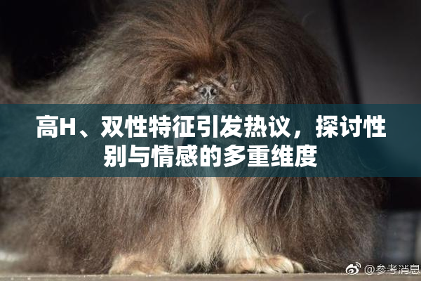 高H、双性特征引发热议，探讨性别与情感的多重维度