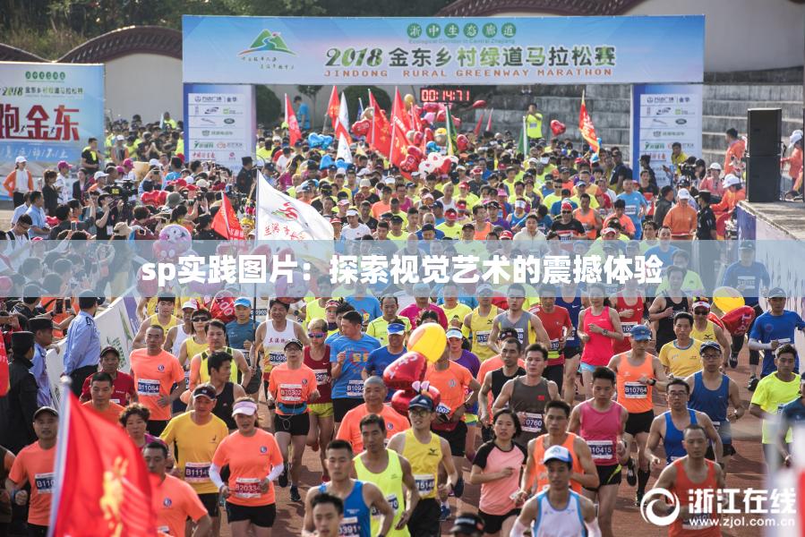 sp实践图片：探索视觉艺术的震撼体验