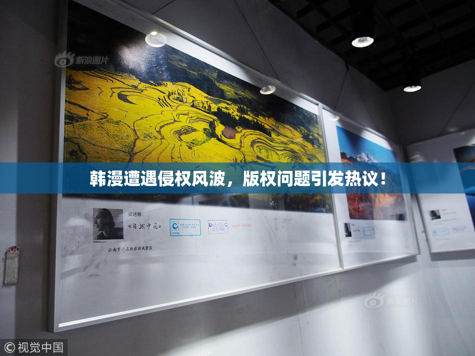 韩漫遭遇侵权风波，版权问题引发热议！