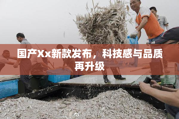 国产Xx新款发布，科技感与品质再升级